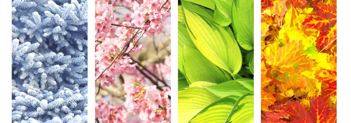 four images showcasing four weather seasons - Barefoot Construction deck construction