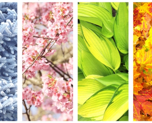 four images showcasing four weather seasons - Barefoot Construction deck construction